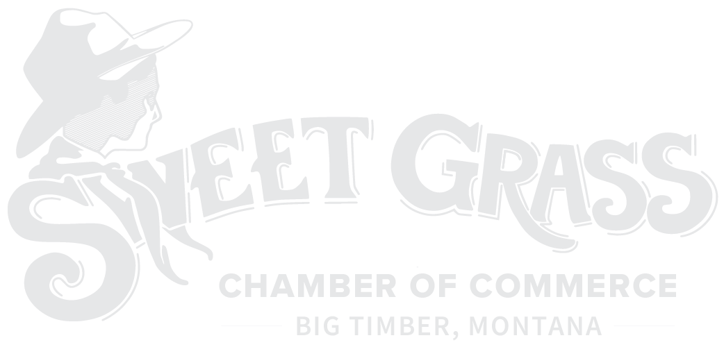 2022 Chamber Logo Light Grey 02_09_2022 PNG-01